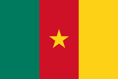 Drapeau : Kamerun